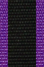 Black w/ Purple Edge Webbing