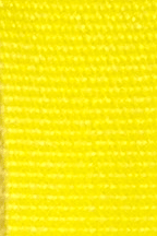 Yellow Webbing