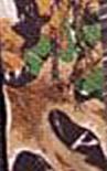 Summer Camo Webbing